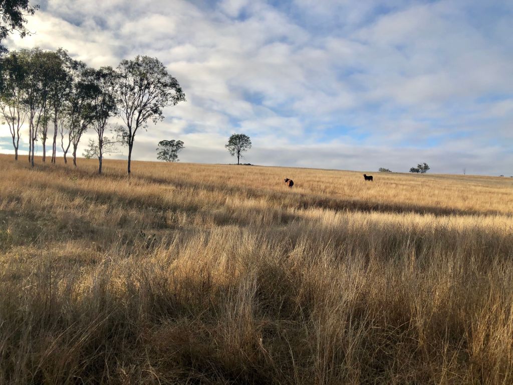 Escape To The Country – South Burnett Region